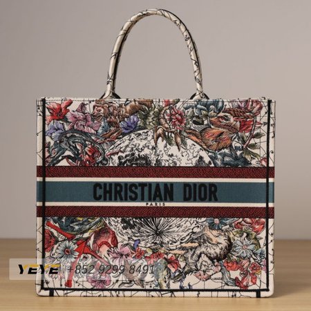 Dior Book Tote Bag