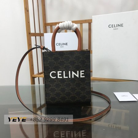 Celine Mini Vertical Cabas In Triomphe Canvas And Calfskin With Celine Print