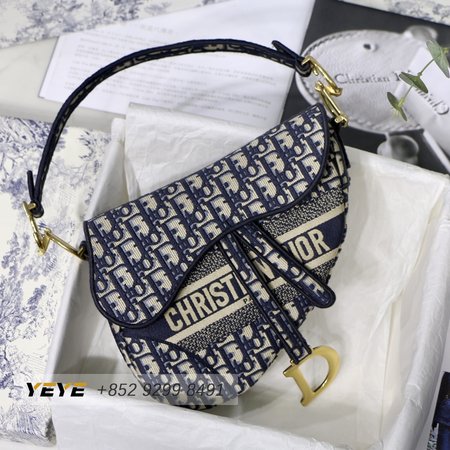 Dior Saddle M9001