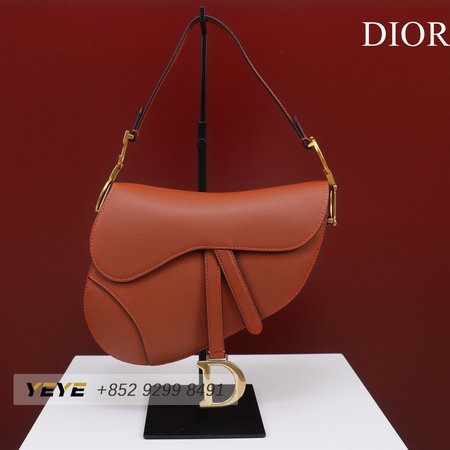 Dior Saddle M0446