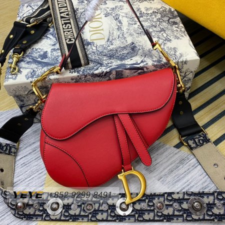 Dior Saddle 8587