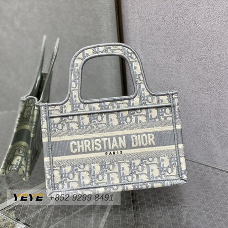 Dior Book Tote Mini M1286