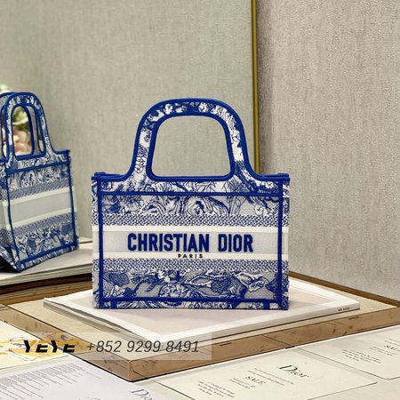 Dior Book Tote Mini M1286